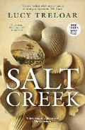 Cover: Salt Creek - Aardvark Bureau