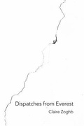 Cover: Dispatches from Everest - FOMITE
