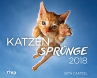 Abbildung von: Katzensprünge 2018 - Riva