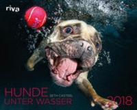 Abbildung von: Hunde unter Wasser 2018 - Riva