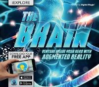 Enlarge image Cover: iExplore - The Brain - Carlton Kids