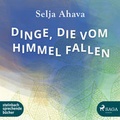 Cover: Dinge, die vom Himmel fallen - steinbach sprechende b&uuml;cher