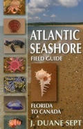 Cover: Atlantic Seashore Field Guide - Stackpole Books