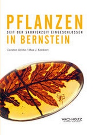 Enlarge image Cover: Pflanzen in Bernstein - Wachholtz