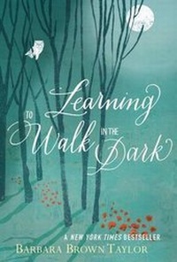 Enlarge image Cover: Learning to Walk in the Dark - HarperCollins