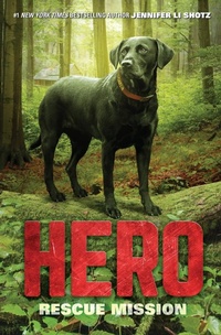 Enlarge image Cover: Hero: Rescue Mission - HarperCollins