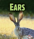 Cover: Ears - Lerner Publishing Group
