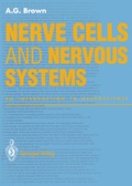 Bild: Nerve Cells and Nervous Systems - Springer