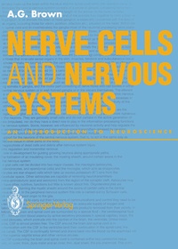 Abbildung von: Nerve Cells and Nervous Systems - Springer
