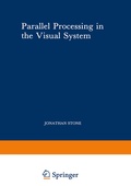 Bild: Parallel Processing in the Visual System - Springer