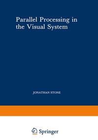 Abbildung von: Parallel Processing in the Visual System - Springer