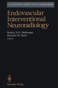 Bild: Endovascular Interventional Neuroradiology - Springer