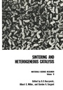 Cover: Sintering and Heterogeneous Catalysis - Springer