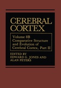 Bild: Cerebral Cortex - Springer
