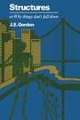 Cover: Structures or Why things don't fall down - Springer