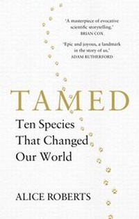 Abbildung von: Tamed - Cornerstone Digital