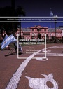 Cover: Gender in Human Rights and Transitional Justice - Palgrave Macmillan