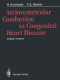 Bild: Atrioventricular Conduction in Congenital Heart Disease - Springer