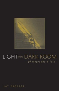 Enlarge image Cover: Light in the Dark Room - University of Minnesota Press