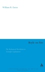 Cover: Boyle on Fire - Continuum International Publishing Group Ltd.