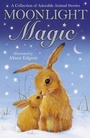 Cover: Moonlight Magic - Little Tiger Press