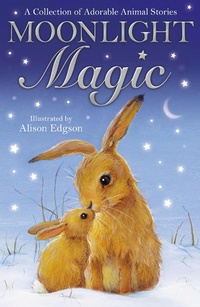 Enlarge image Cover: Moonlight Magic - Little Tiger Press