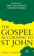 Cover: Gospel According to St John - Continuum Publishing Corporation