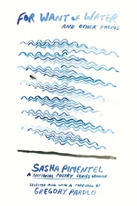 Enlarge image Cover: For Want of Water - Beacon Press