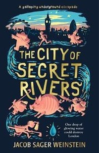 Enlarge image Cover: The City of Secret Rivers - Walker Books Ltd
