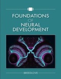 Bild: Foundations of Neural Development - Oxford University Press Inc