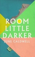 Cover: Room Little Darker - New Island Books