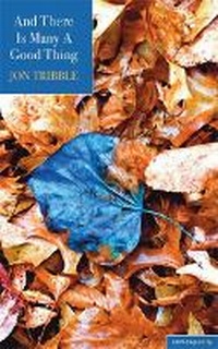 Enlarge image Cover: And There is Many a Good Thing - Salmon Poetry