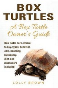 Abbildung von: Box Turtles - Nrb Publishing
