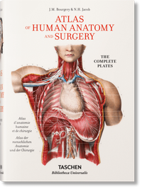 Abbildung von: Bourgery. Atlas of Human Anatomy and Surgery - TASCHEN