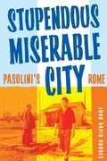 Cover: Stupendous, Miserable City - University of Minnesota Press
