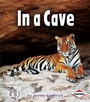 Cover: In a Cave - Lerner Publishing Group