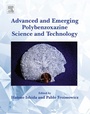 Cover: Advanced and Emerging Polybenzoxazine Science and Technology - Elsevier