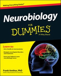 Abbildung von: Neurobiology For Dummies - Wiley