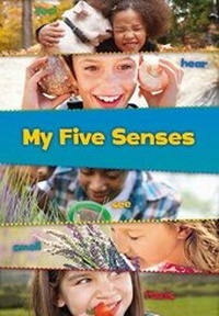 Enlarge image Cover: My Five Senses - Raintree Publishers