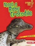 Cover: Meet a Baby Crocodile - Lerner Publishing Group