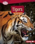 Cover: Tigers on the Hunt - Lerner Publishing Group