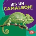 Cover: !Es un camaleon! (It's a Chameleon!) - Ediciones Lerner