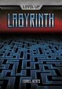 Cover: Labyrinth - Lerner Publishing Group