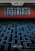 Cover: Labyrinth - Lerner Publishing Group