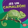 Cover: !Es un camaleon! (It's a Chameleon!) - Ediciones Lerner
