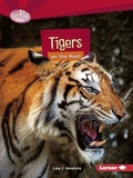 Cover: Tigers on the Hunt - Lerner Publishing Group