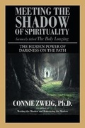 Cover: Meeting the Shadow of Spirituality - iUniverse
