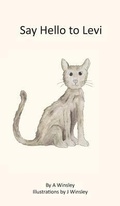 Cover: Say Hello to Levi - Armine Winsley
