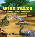 Cover: Wise Tales - Titilope Akinleye