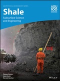 Cover: Shale - Wiley